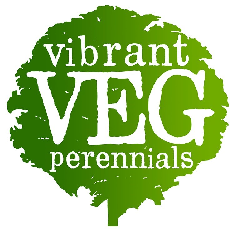 Vibrant Veg